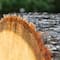 Wilson® Enterprises 4 Pack Natural Basswood Round